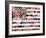 Murican Flag-Artpoptart-Framed Giclee Print