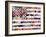 Murican Flag-Artpoptart-Framed Giclee Print