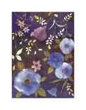 Perky Poppies-Muriel Verger-Stretched Canvas