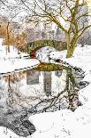 Central Park Winter No. 7-Murray Bolesta-Photographic Print