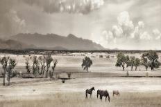 Ranchland 9-Murray Bolesta-Framed Photographic Print