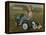Murray Diesel Tractor-David Lindsley-Framed Premier Image Canvas