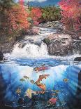 Fish Falls-Murray Henderson-Photographic Print