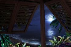 Tropical Dream Moon View-Murray Henderson-Giclee Print