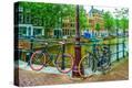 Stretched Canvas Print