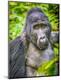 Photographic Print