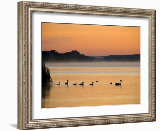 Murray River at Dawn, Mannum, South Australia, Australia-David Wall-Framed Photographic Print