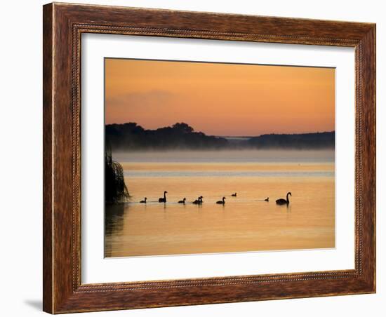 Murray River at Dawn, Mannum, South Australia, Australia-David Wall-Framed Photographic Print