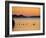 Murray River at Dawn, Mannum, South Australia, Australia-David Wall-Framed Photographic Print