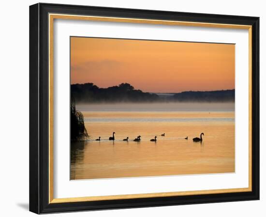 Murray River at Dawn, Mannum, South Australia, Australia-David Wall-Framed Photographic Print