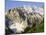 Murren, Jungfrau Region, Switzerland-Roy Rainford-Mounted Photographic Print