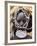 Mursi Lady with Lip Plate, South Omo Valley, Ethiopia, Africa-Jane Sweeney-Framed Photographic Print