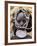 Mursi Lady with Lip Plate, South Omo Valley, Ethiopia, Africa-Jane Sweeney-Framed Photographic Print