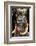 Mursi Tribe Woman, Omo River Valley, Ethiopia-Jaynes Gallery-Framed Photographic Print