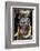 Mursi Tribe Woman, Omo River Valley, Ethiopia-Jaynes Gallery-Framed Photographic Print