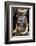 Mursi Tribe Woman, Omo River Valley, Ethiopia-Jaynes Gallery-Framed Photographic Print