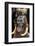 Mursi Tribe Woman, Omo River Valley, Ethiopia-Jaynes Gallery-Framed Photographic Print