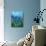 Muscari-Pol Ledent-Premium Giclee Print displayed on a wall