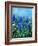 Muscari-Pol Ledent-Framed Premium Giclee Print