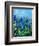 Muscari-Pol Ledent-Framed Art Print