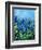 Muscari-Pol Ledent-Framed Art Print