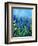 Muscari-Pol Ledent-Framed Art Print