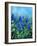 Muscari-Pol Ledent-Framed Art Print