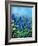 Muscari-Pol Ledent-Framed Art Print