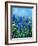 Muscaris-Pol Ledent-Framed Art Print