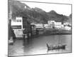 Photographic Print