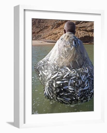 Muscat Region, Bandar Khayran, A Old Fisherman Fishes for Sardines with a Traditional Net, Oman-Mark Hannaford-Framed Photographic Print