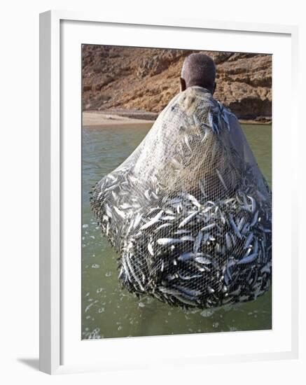 Muscat Region, Bandar Khayran, A Old Fisherman Fishes for Sardines with a Traditional Net, Oman-Mark Hannaford-Framed Photographic Print