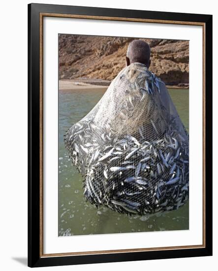 Muscat Region, Bandar Khayran, A Old Fisherman Fishes for Sardines with a Traditional Net, Oman-Mark Hannaford-Framed Photographic Print