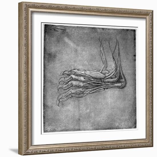 Muscles and Sinews in a Foot, Possibly of a Hare, Late 15th or Early 16th Century-Leonardo da Vinci-Framed Giclee Print