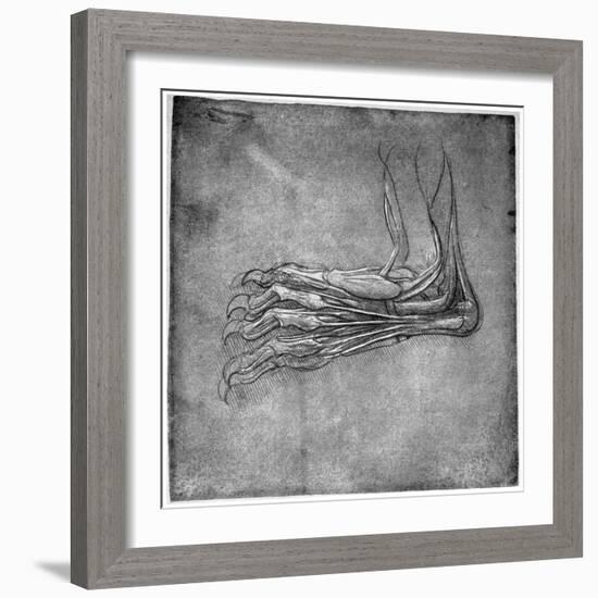 Muscles and Sinews in a Foot, Possibly of a Hare, Late 15th or Early 16th Century-Leonardo da Vinci-Framed Giclee Print