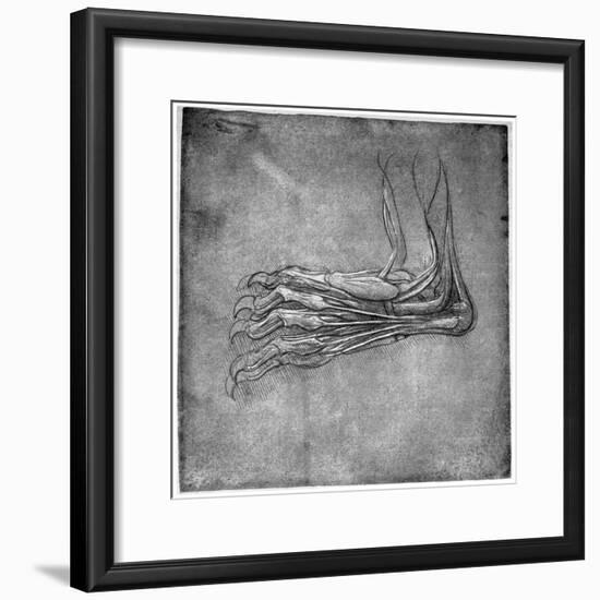 Muscles and Sinews in a Foot, Possibly of a Hare, Late 15th or Early 16th Century-Leonardo da Vinci-Framed Giclee Print