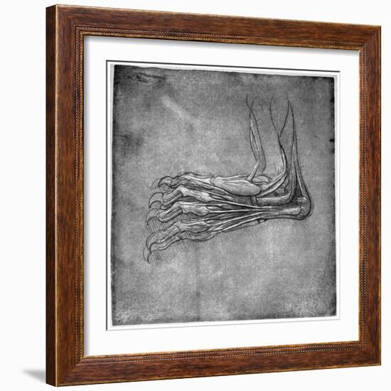 Muscles and Sinews in a Foot, Possibly of a Hare, Late 15th or Early 16th Century-Leonardo da Vinci-Framed Giclee Print