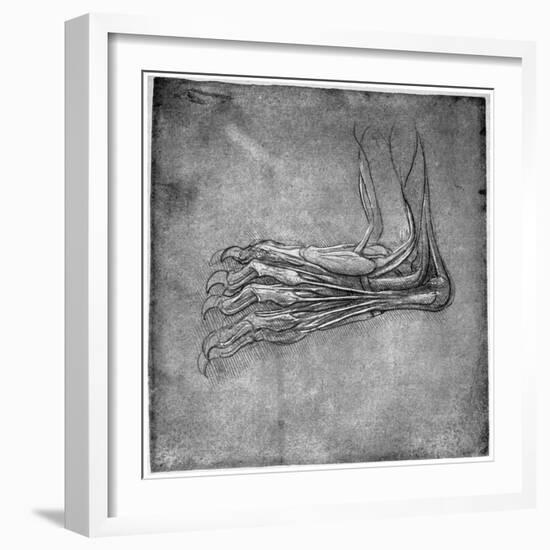 Muscles and Sinews in a Foot, Possibly of a Hare, Late 15th or Early 16th Century-Leonardo da Vinci-Framed Giclee Print