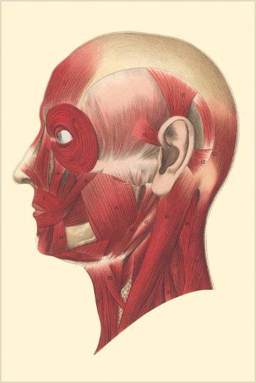 Art Print, , large