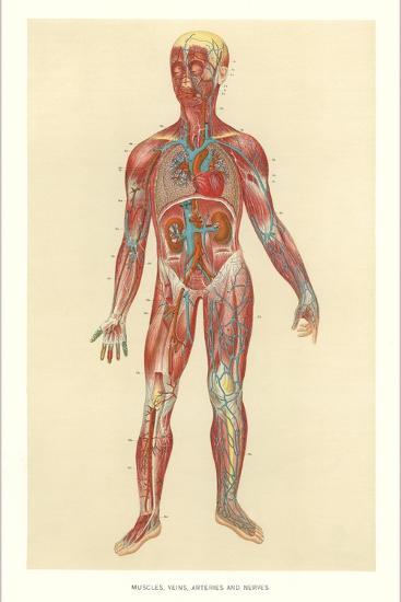 Art Print, , large