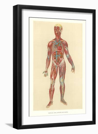 Art Print, , large