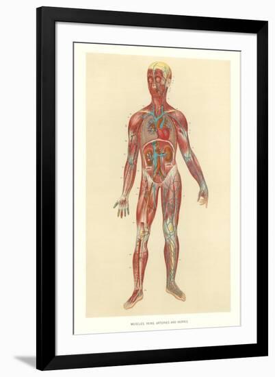 Art Print, , large
