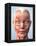 Muscular System of the Head-Roger Harris-Framed Premier Image Canvas