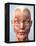 Muscular System of the Head-Roger Harris-Framed Premier Image Canvas