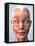 Muscular System of the Head-Roger Harris-Framed Premier Image Canvas