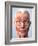 Muscular System of the Head-Roger Harris-Framed Photographic Print