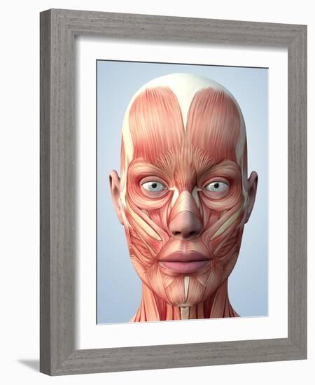 Muscular System of the Head-Roger Harris-Framed Photographic Print