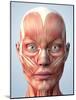 Muscular System of the Head-Roger Harris-Mounted Photographic Print