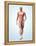 Muscular System-Roger Harris-Framed Premier Image Canvas