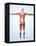 Muscular System-Roger Harris-Framed Premier Image Canvas